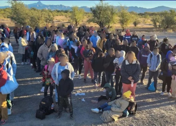 Detienen a 232 Migrantes, Entre Ellos Menores de Edad en Arizona que Ingresaron por Sonora