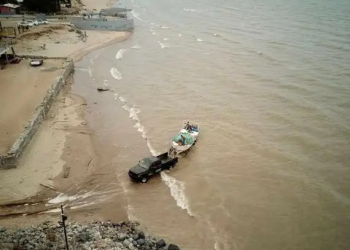 Piden pescadores modificación de polígonos de protección vaquita marina