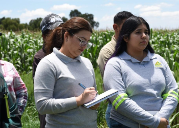 GRUMA y CIMMYT capacitan a técnicos en agricultura sustentable y tecnología de campo