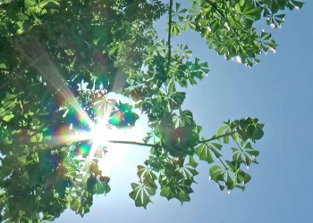 Frente Frío que Impactaría en Sonora fue Desviado