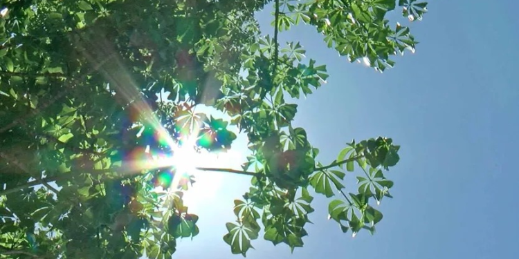 Frente Frío que Impactaría en Sonora fue Desviado