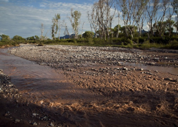 Germán Larrea envenenó el Río Sonora. Ahora se chupa el agua que quedó sin contaminar