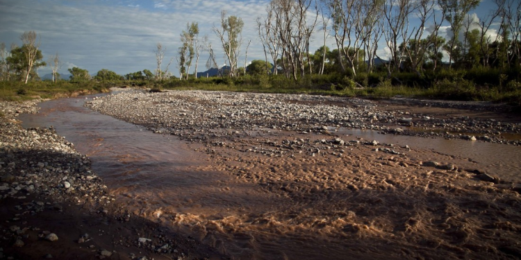 Germán Larrea envenenó el Río Sonora. Ahora se chupa el agua que quedó sin contaminar