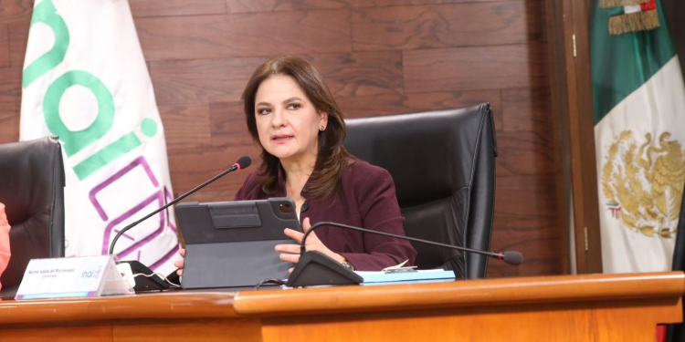 Litio para México debe dar a conocer las políticas y lineamientos para la exploración, explotación y procesamiento de este metal: INAI