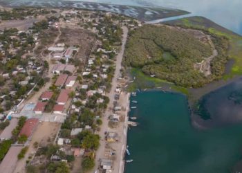 Manglares de Yavaros Moroncarit: un refugio de resiliencia amenazado en el desierto de Sonora