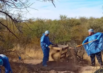 Localizaron Restos de Cuerpos en Fosas Clandestinas en Ejido El Claro, Santa Ana
