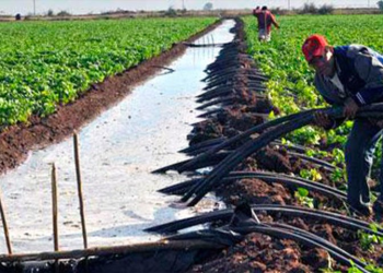 Advierten riesgo de enfrentamientos por falta de agua en el norte de Sinaloa y sur de Sonora