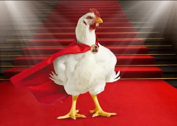 La publicidad de Bachoco que rompió el cascarón: del huevo a los memes