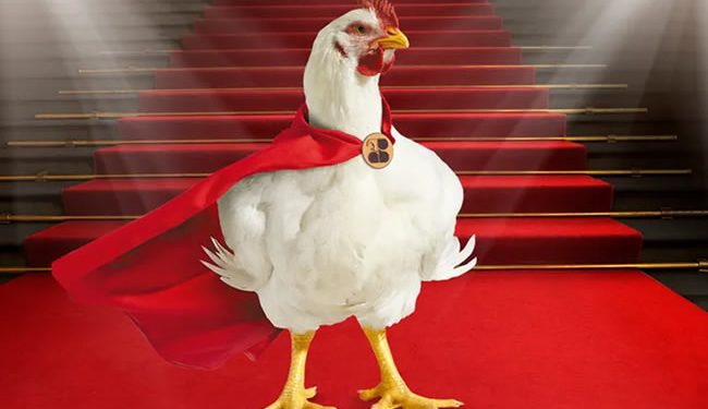 La publicidad de Bachoco que rompió el cascarón: del huevo a los memes