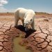 Crisis de la criosfera: Alerta sobre devastadores impactos sin acción climática urgente