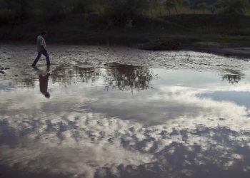 Gobierno excluye crisis del Río Sonora en programas ambientales, acusan