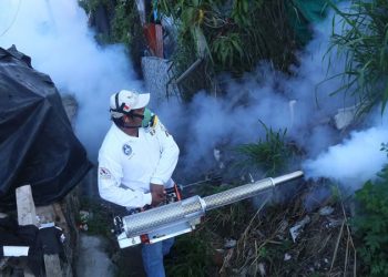 El avance imparable del dengue en México: el virus estalla en Nuevo León y Jalisco