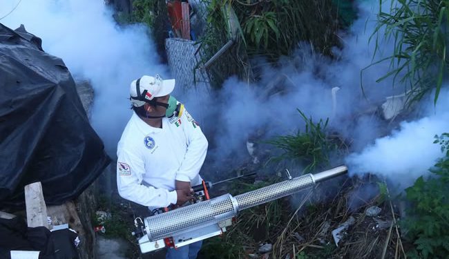 El avance imparable del dengue en México: el virus estalla en Nuevo León y Jalisco