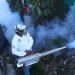 El avance imparable del dengue en México: el virus estalla en Nuevo León y Jalisco