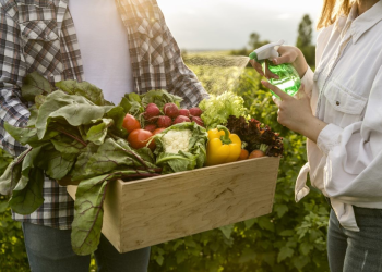 Destacan Sonora y Sinaloa en agroexportación