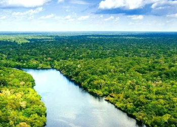 Reducción presupuestal para el sector ambiental en el PEF 2025