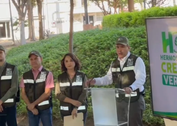 Presentan plan de reforestación para Hermosillo
