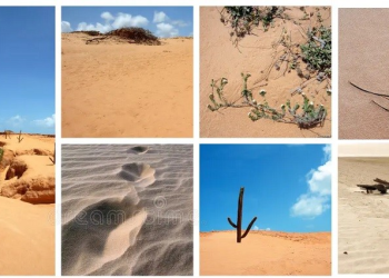 Los 10 Desiertos más Importantes de México: Diversidad Biológica, Importancia Ecológica y Amenazas