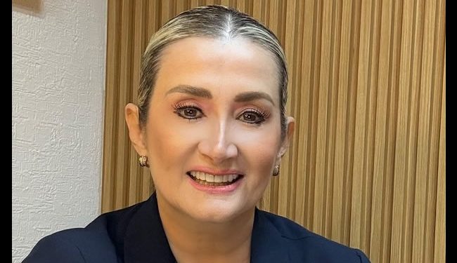 No habrá más nuevos impuestos en presupuesto 2025: Elia Sallard