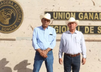 Ganaderos de Sonora confían en pronta solución tras restricción de exportaciones de EU por caso de gusano barrenador