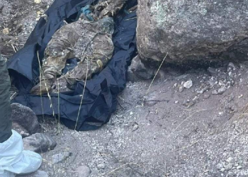 Colectivo localiza crematorio con cráneos y cuerpos en Nogales