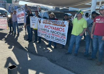 Tras presiones entra en vigor nueva Ley de Protección y Bienestar Animal para Sonora