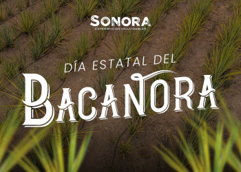 Celebran en Sonora el Día Estatal del Bacanora