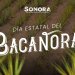 Celebran en Sonora el Día Estatal del Bacanora
