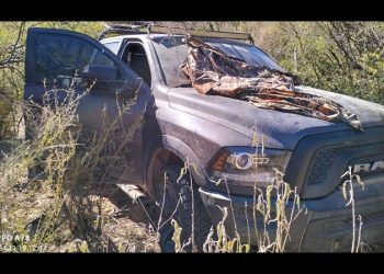 Cuatro muertos saldo de enfrentamiento entre grupo armado y elementos de seguridad en Sáric, Sonora