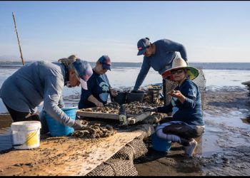 Las Guardianas del Conchalito: Historia de un barrio de pescadores moribundo de La Paz (y de las mujeres que lo resucitaron)