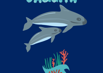 Protección de la vaquita marina es responsabilidad de todo el gobierno: Ávila Martínez