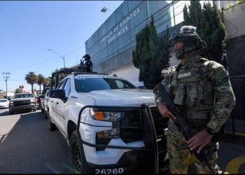 Operación Enjambre: el primer golpe de Sheinbaum contra la colmena de la corrupción en México