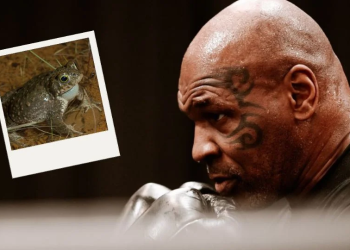 El día que Mike Tyson sintió a Dios gracias al sapo de Sonora y decidió boxear contra Paul en “el mayor show antes de morir”