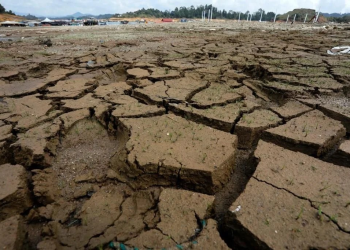 Sufrirán productores otro año de sequía prolongada
