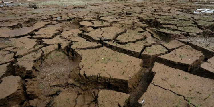 Sufrirán productores otro año de sequía prolongada