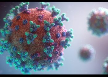 Estos son los 17 patógenos que requieren ‘desarrollo y aprobación urgente de vacunas’