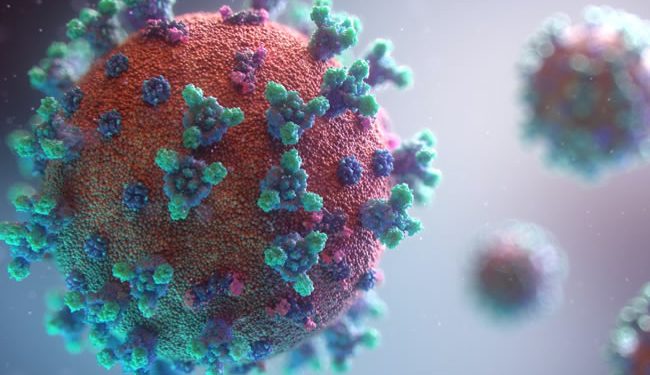 Estos son los 17 patógenos que requieren ‘desarrollo y aprobación urgente de vacunas’