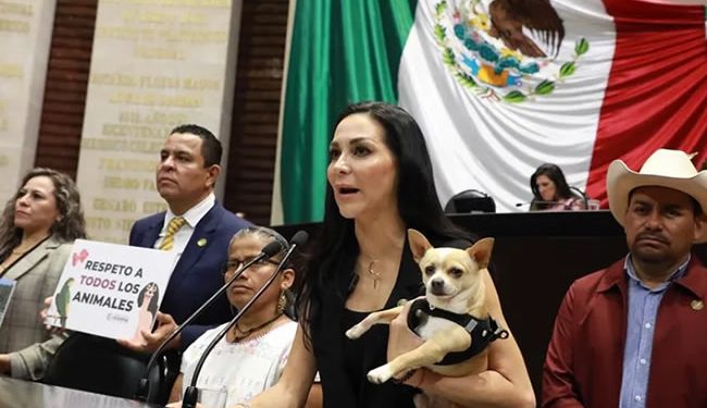 Diputados aprueban reforma sobre protección y cuidado animal