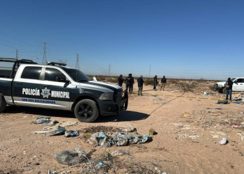 Suman 60 restos óseos hallados en operativos entre Sonora y BC