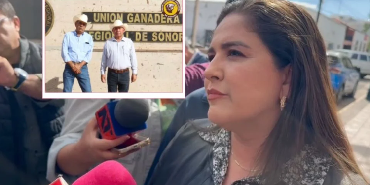 Confían en pronta apertura de frontera para exportar ganado; 3 mil cabezas están detenidas en Sonora