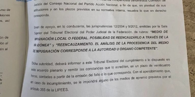 Turna TEE a Comisión de Honor del PAN solicitud de militantes para elección interna