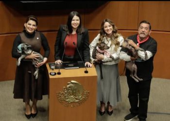 El Senado aprueba por unanimidad la reforma para la protección de animales