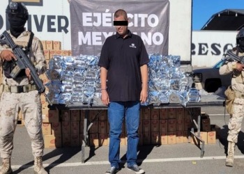 Detienen a conductor de camión que transportaba 430 kilos de cocaína en Sonora