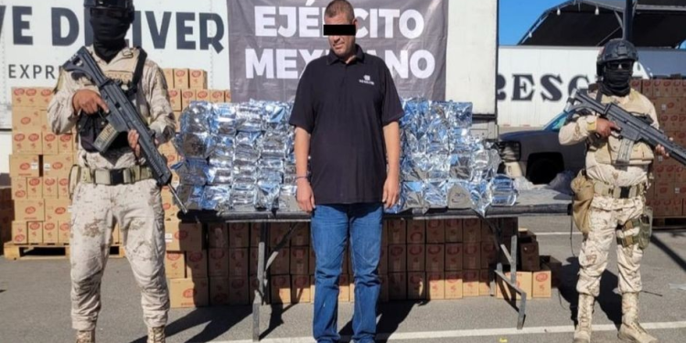 Detienen a conductor de camión que transportaba 430 kilos de cocaína en Sonora