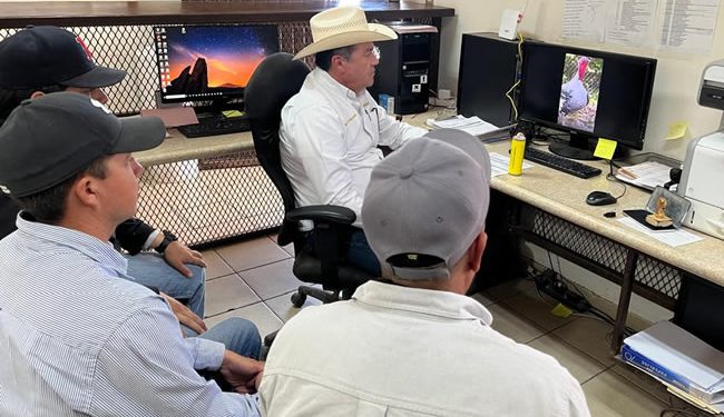 Trabajan Gobierno de Sonora y Gobierno de México para reapertura pronta de frontera para exportación de ganado