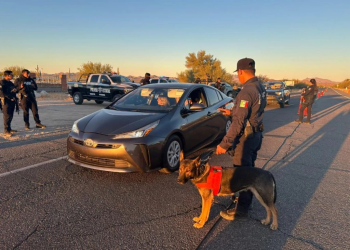 Saldo Blanco en el Rocky Point Rally 2024 en Puerto Peñasco