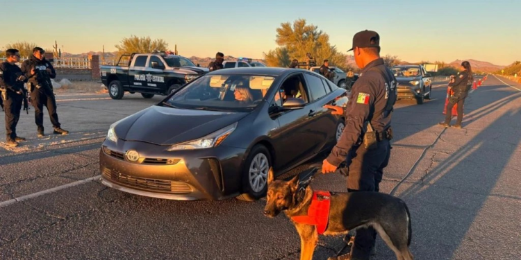 Saldo Blanco en el Rocky Point Rally 2024 en Puerto Peñasco
