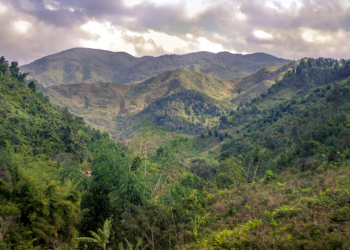 Minaurum Gold Amplía su Control en el Distrito Aurífero en Sonora con Leyes de Oro Altas