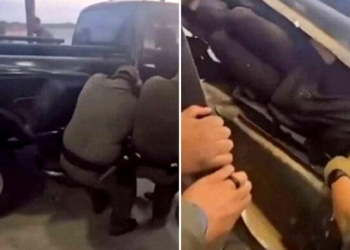 Hallan migrantes ocultos en chasis de camioneta; querían cruzar de Sonora a EU