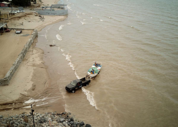 Piden pescadores modificación de polígonos de protección de vaquita marina